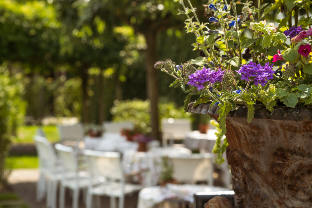 Terrasse Garten Hotel Restaurant Bakk 2 1